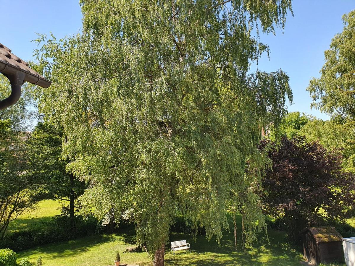 Schoenenberger Hof Orsingen-Nenzingen エクステリア 写真