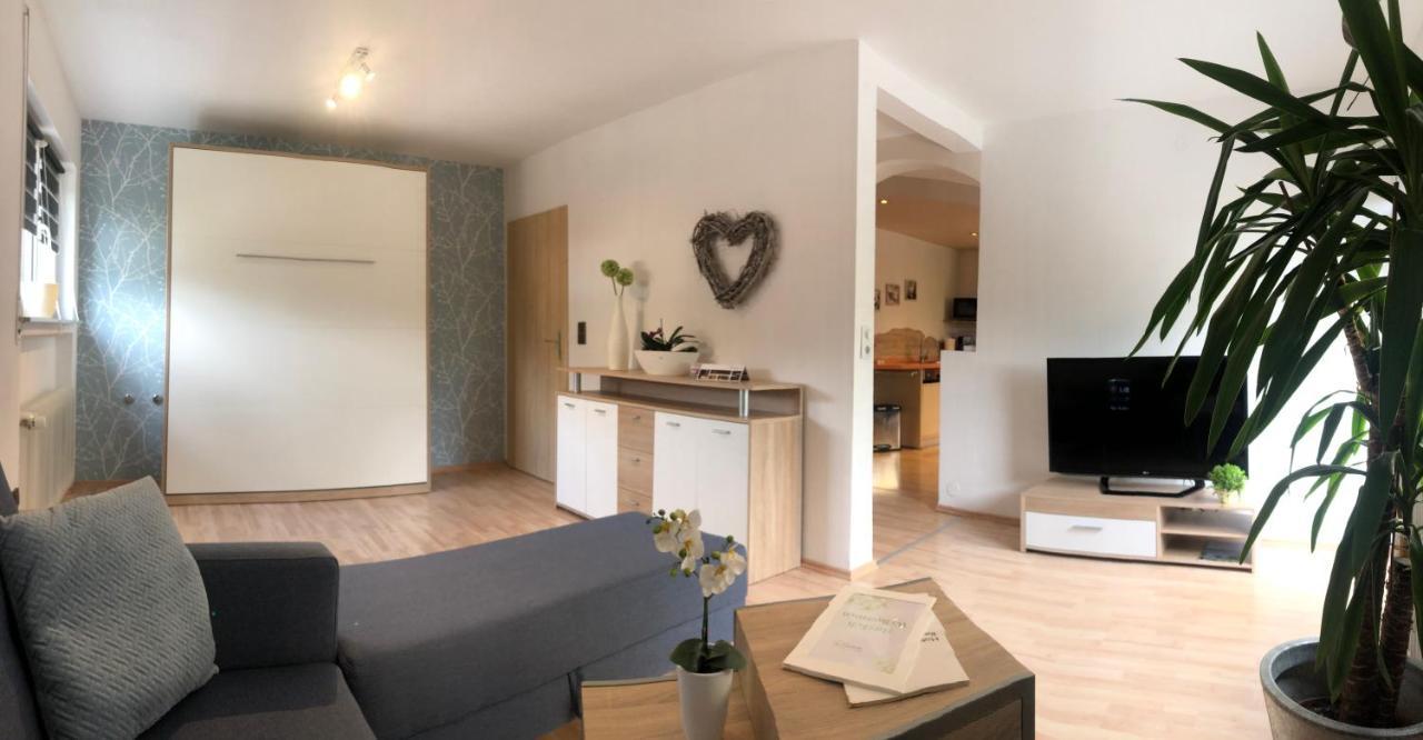 Schoenenberger Hof Orsingen-Nenzingen 部屋 写真